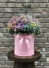Цветочная композиция из Гипсофила и Розы в шляпной коробке в Александров Гае