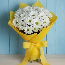 Букет цветов из:  Хризантемы в Александров Гае