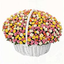 Премиум букет из: Розы в Александров Гае