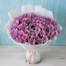 Букет цветов из:  Хризантемы #REPLACE_PRED# Александров Гае