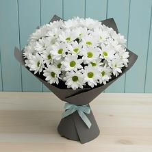 Букет цветов из:  Хризантемы в Александров Гае