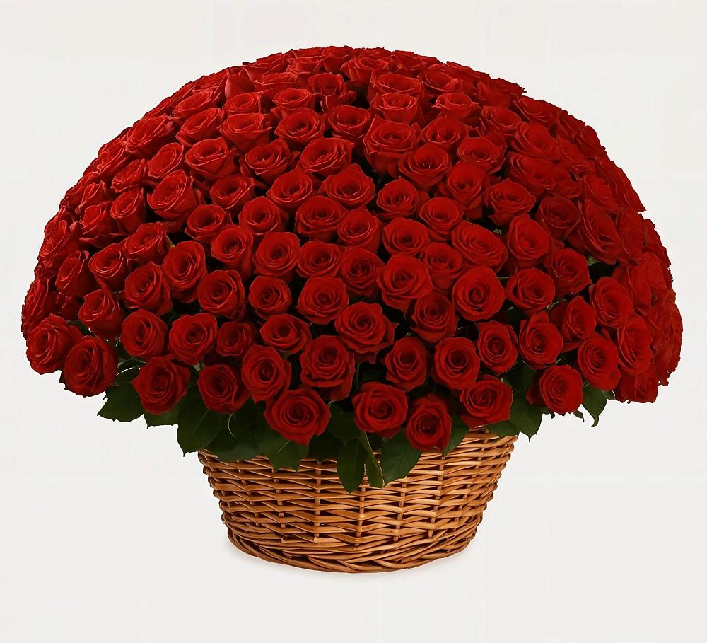 Премиум букет из: Розы в Александров Гае