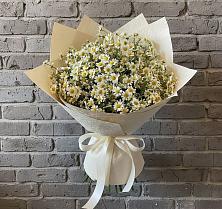 Букет цветов из:  Ромашки #REPLACE_PRED# Александров Гае