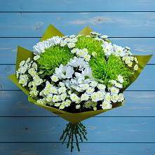 Букет цветов из:  Хризантемы в Александров Гае