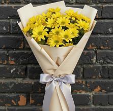 Букет цветов из:  Хризантемы в Александров Гае