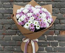 Букет цветов из:  Хризантемы в Александров Гае