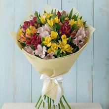 Букет цветов из:  Альстромерии в Александров Гае