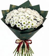 Букет цветов из:  Хризантемы в Александров Гае