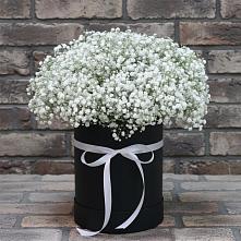 Цветочная композиция из Гипсофила в шляпной коробке в Александров Гае