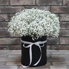 Цветочная композиция из Гипсофила в шляпной коробке в Александров Гае