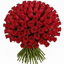Букет Красные розы Чери Лав #REPLACE_PRED# Александров Гае
