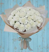 Букет цветов из:  Гвоздики в Александров Гае